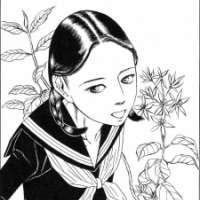   My Beloved Lady <small>Story & Art</small> 